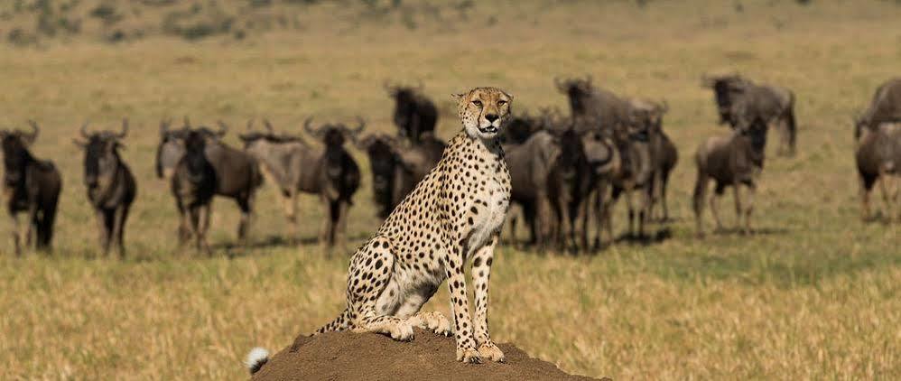 Mahali Mzuri Hotel Maasai Mara Exterior photo